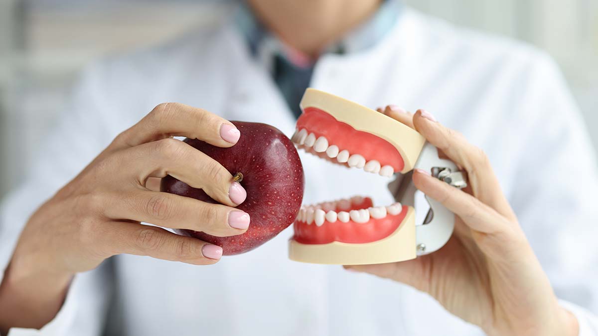practitioner holding a model jaw in one hand and an apple in the other hand
